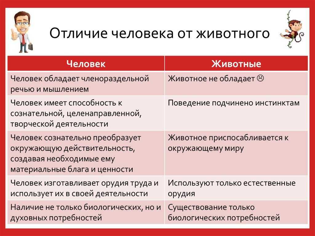 Резня против убойника - какая разница? - разница - 2023