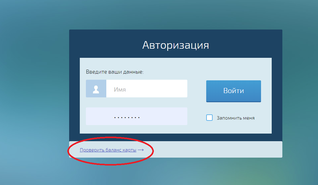 Руководство по оплате школьного питания через сбербанк онлайн. доступные способы, возможные трудности