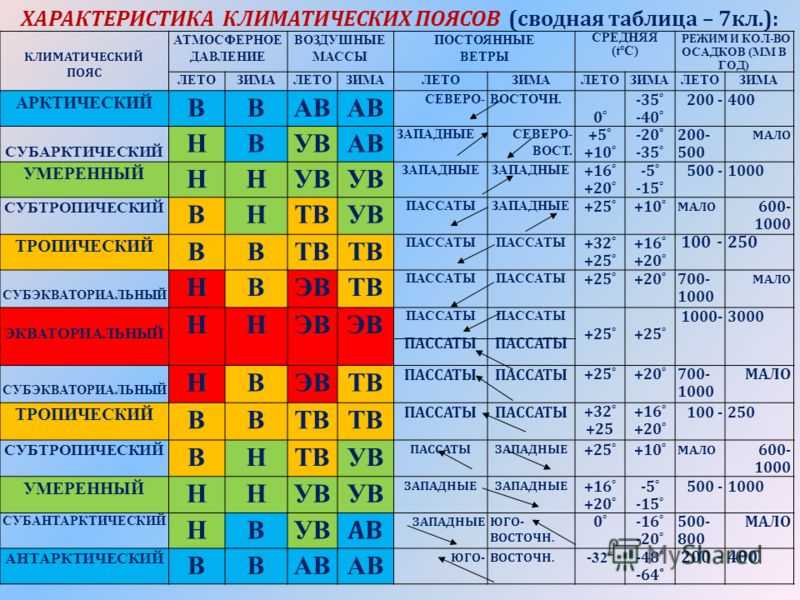 Всесезонные шины: 5 основных отличий от зимней и летней резины