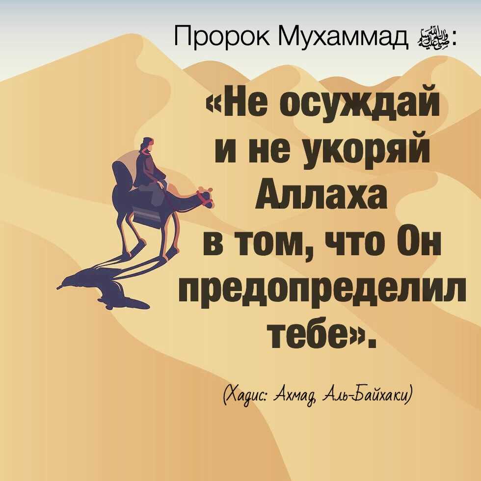 Хадис против корана: разница и сравнение
