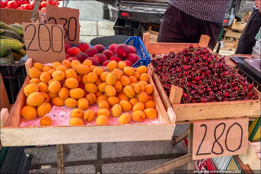 Фрукты в абхазии по месяцам: когда что созревает