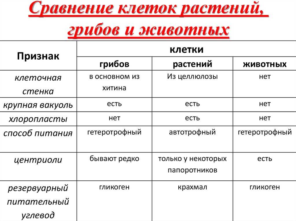 Оглы и кызы: традиционная система именования у азербайджанцев