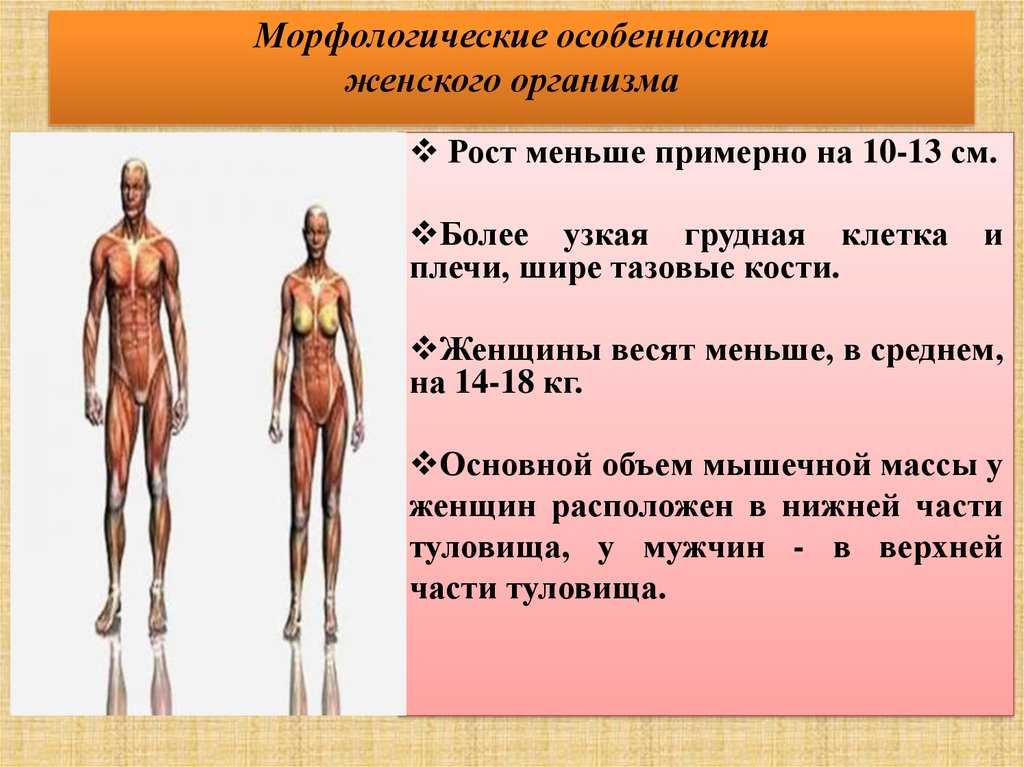 Как лечить ячмень на глазу: причины, симптомы, лекарства