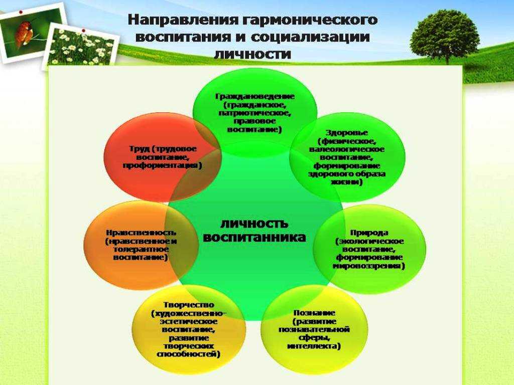 Какое образование выбрать: школа, колледж или вуз?