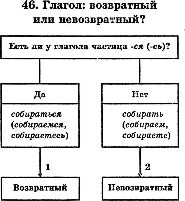 Омонимы - это... 50 примеров омонимов