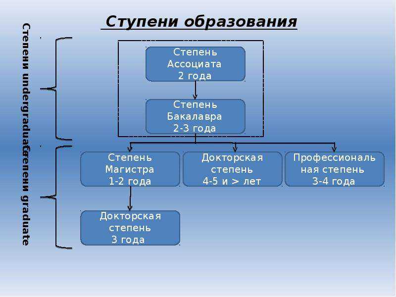 Сколько лет нужно учиться, чтобы стать академиком?