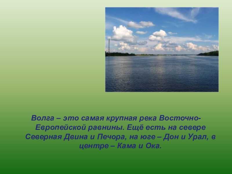 Волга: исток, устье, притоки, бассейн, глубина, история и интересные факты, растения и животные.