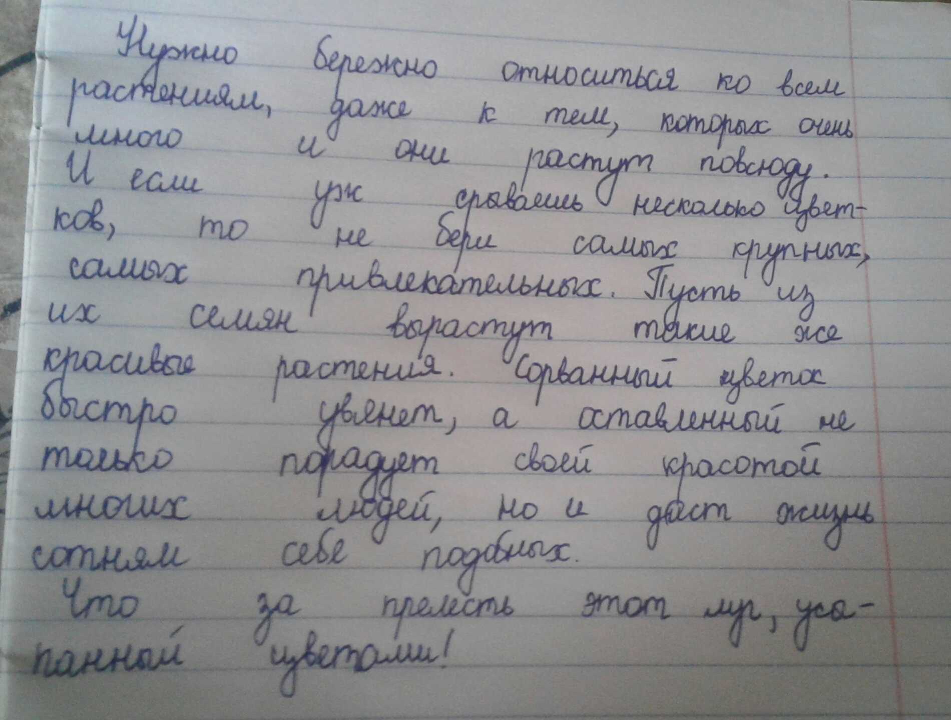 Можно ли пить пиво на улице: закон, правила распития, сумма штрафов и рекомендации