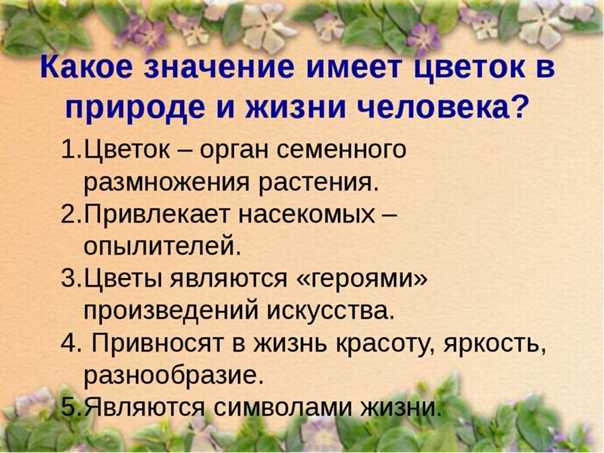 Какие домашние цветы приносят одиночество и как с этим бороться? - деловой английский