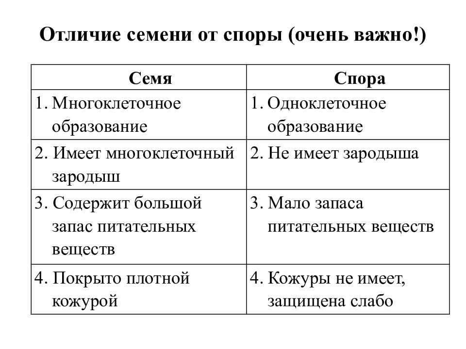 4. формы размножения организмов. размножение организмов