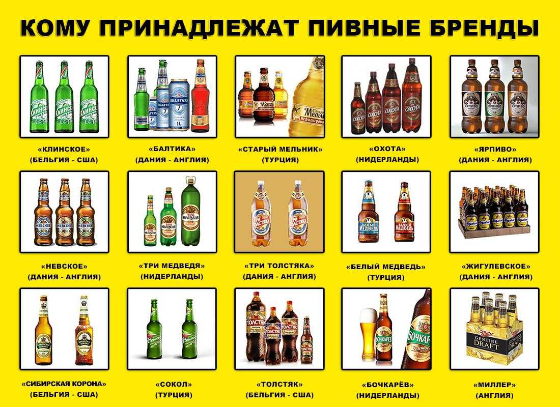 Что такое птичьи базары?