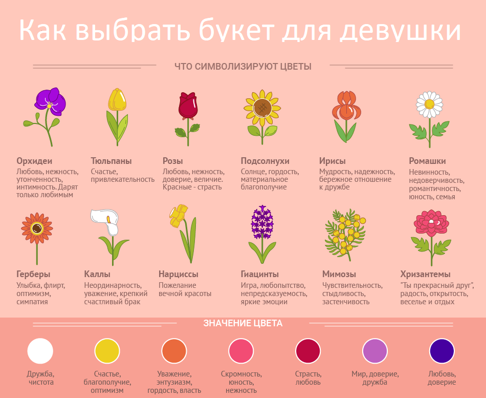 Цвета роз: значение и символика. когда и кому дарить белые, красные, желтые розы - sadovnikam.ru