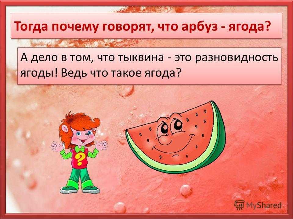 Бахчевые культуры. значение, распространение, биологические особенности овощных культур