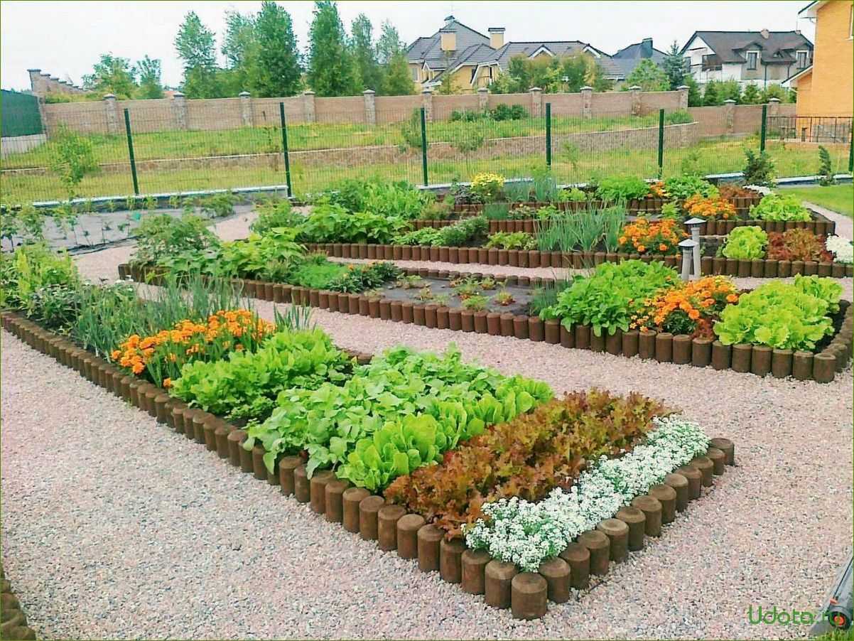 Органическое земледелие: как заложить умные грядки