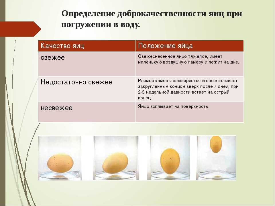 Оао "птицефабрика "моргаушская", проверка по инн 2112390754