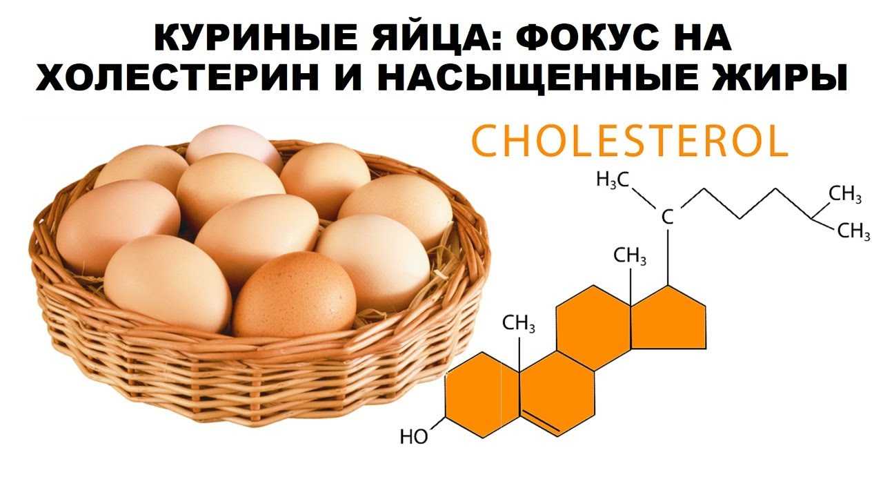 Куриные яйца оптом от производителей и поставщиков