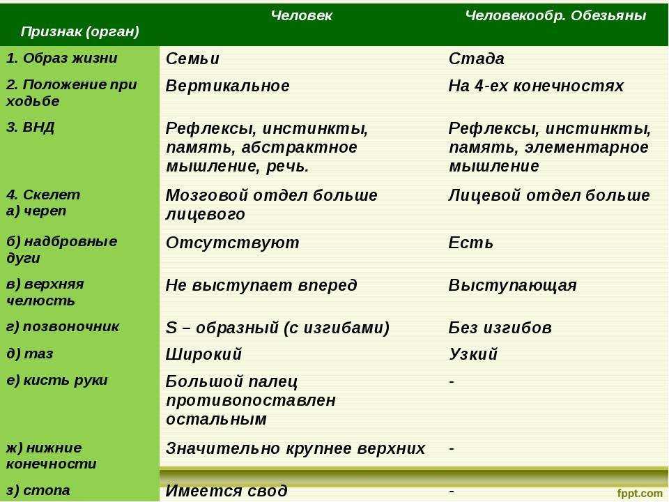 Двач официальный. что такое "двач", "форчан" и другие имиджборды? что такое «фочан»