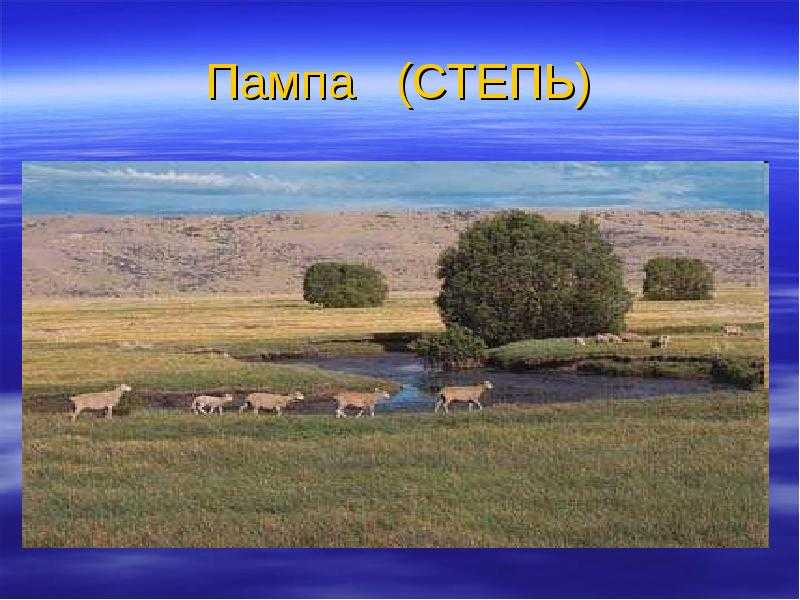 Экологический диктант 2022 для детей младше 12 лет