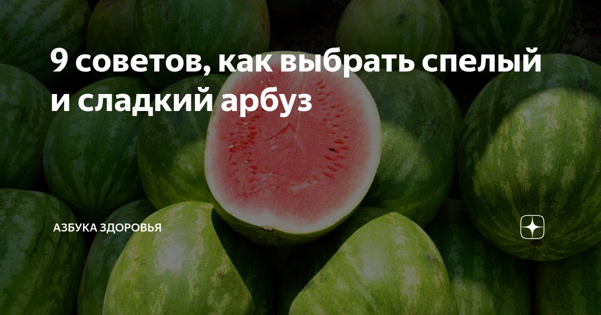 С каких пор арбуз превратился в тыкву: научное объяснение