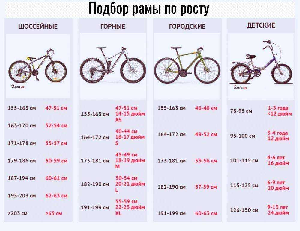 Что такое эндо и экзо помогите плиз