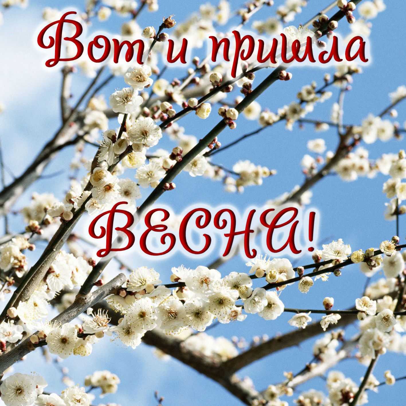 Апрель: 8 сочинений для 1-11 класса 2023 года