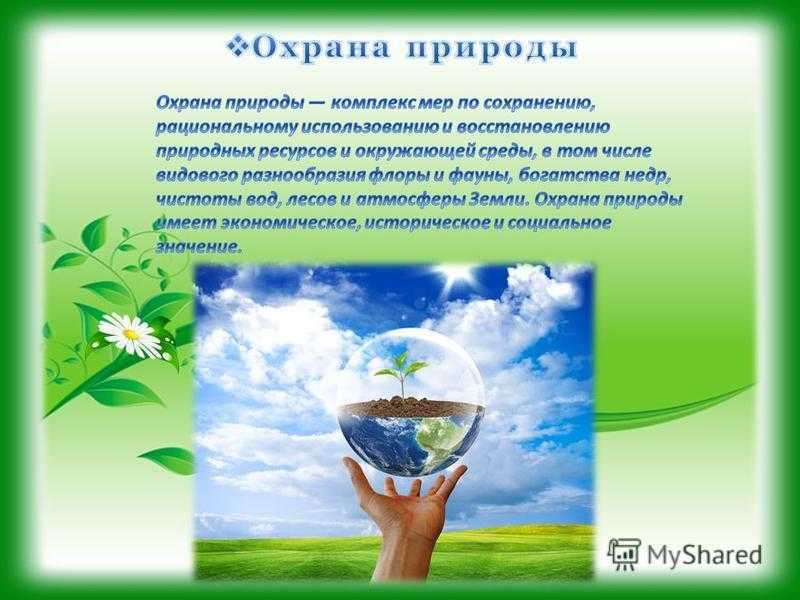 Экологические проблемы тюмени должны быть решены - экопроблем