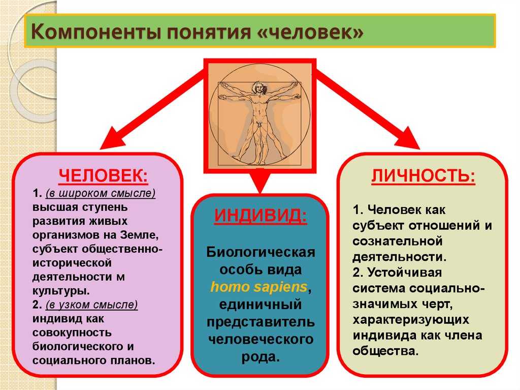 Жопа и попа - два понятия, общие для каждого человека Однако, не все знают, что между ними есть ряд фундаментальных различий, которые важны для понимания