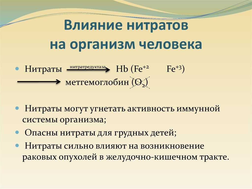 Нитраты и нитриты - что это?