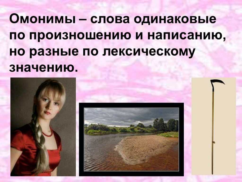 Разница между бычком и быком - наука - 2023