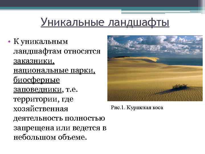 Чем отличается луг от поля: основные различия и их значение