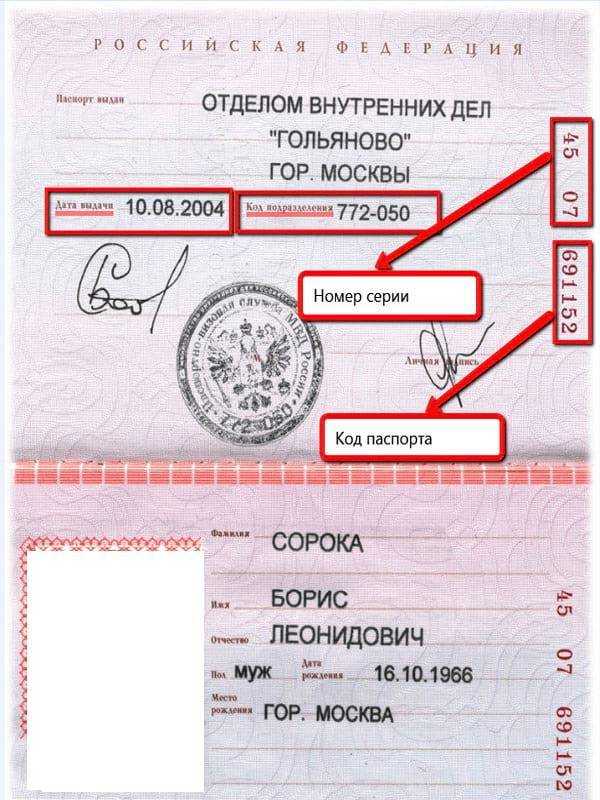 Индификационный номер паспорта рф: примеры и объяснение