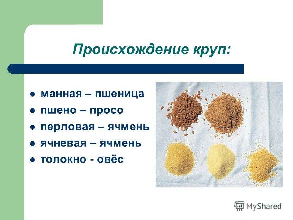 Крупы, макронные изделия и мука. беседы о домашнем хозяйстве
