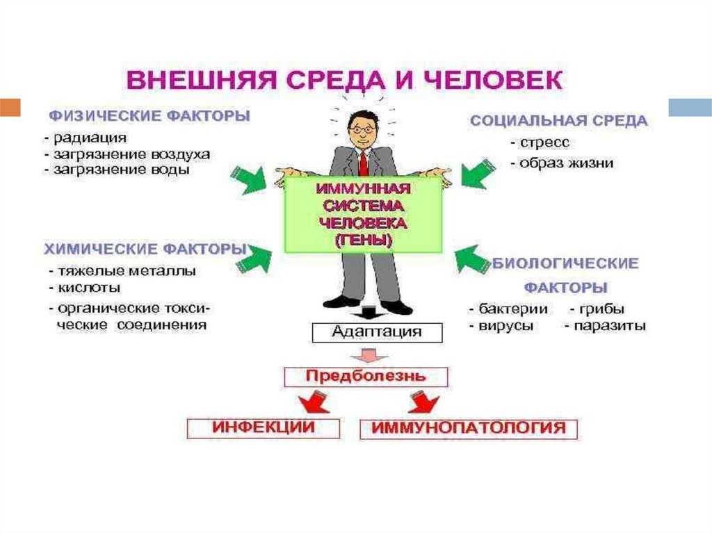 Сердечный толчок: что это такое и как он влияет на организм