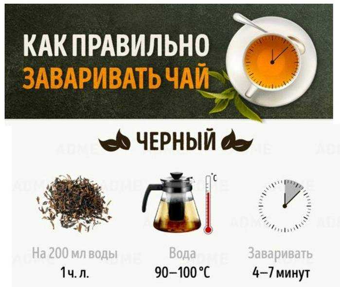 Разнообразие названий чая: виды, сорта, сбор и приготовление