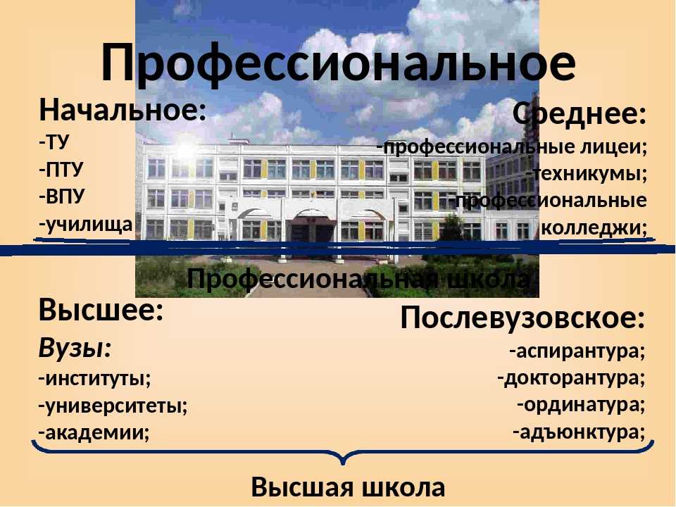 Чем отличается колледж от техникума: в чем разница, кто выше и лучше