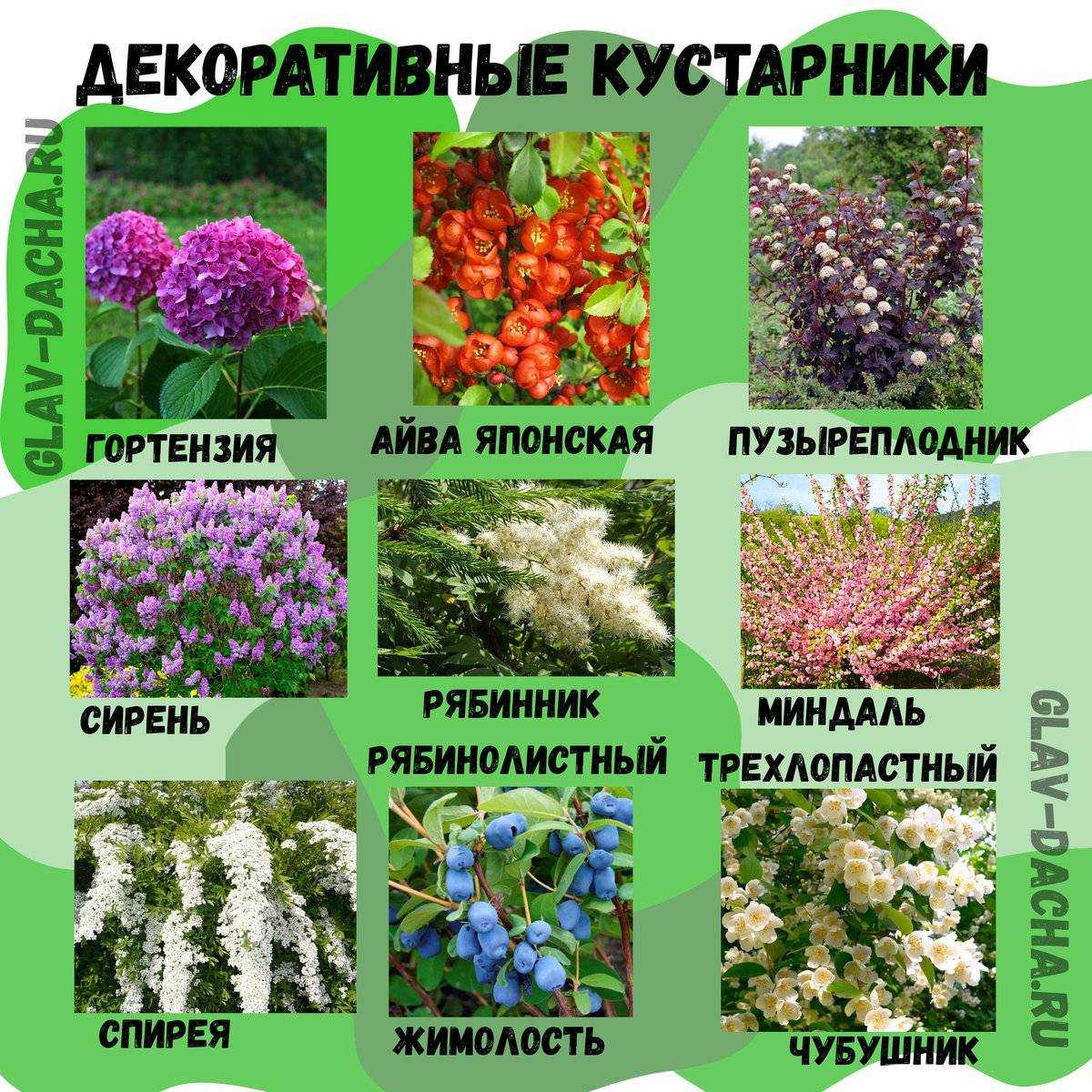 Курс «профессия ландшафтный дизайнер»: обучение ландшафтному дизайну онлайн — skillbox