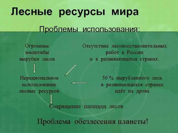 Брус или бревно