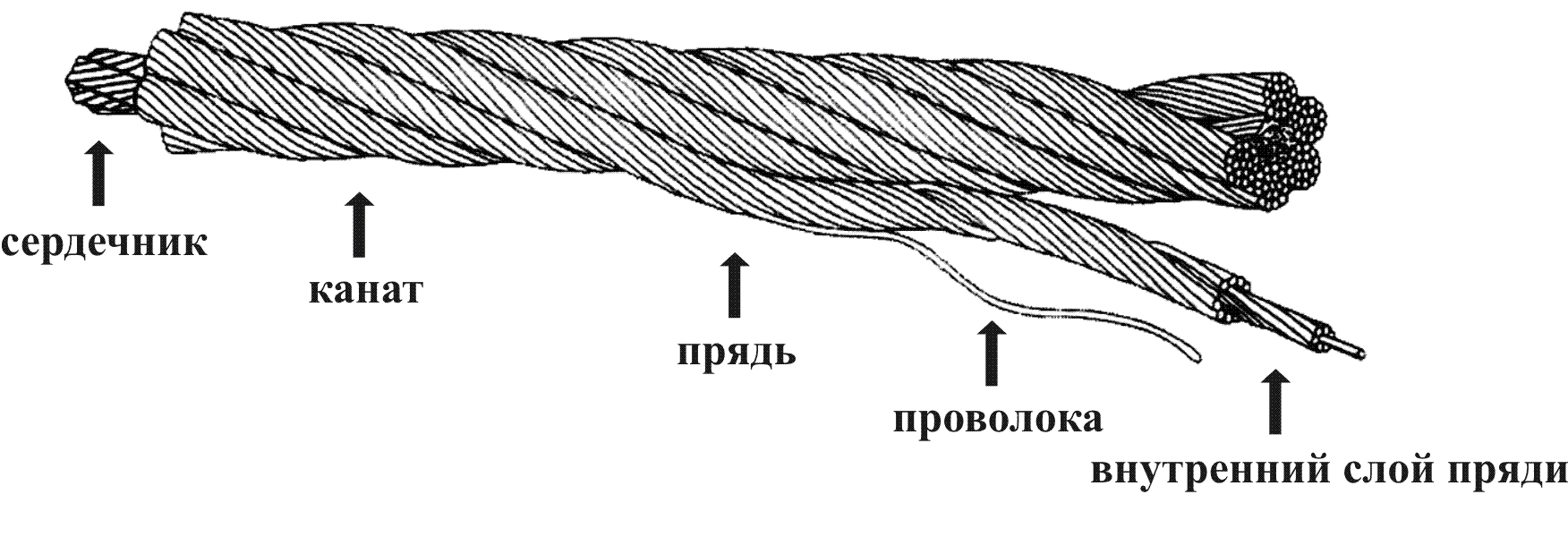 Что такое верёвка:ликбез от дилетанта estimata