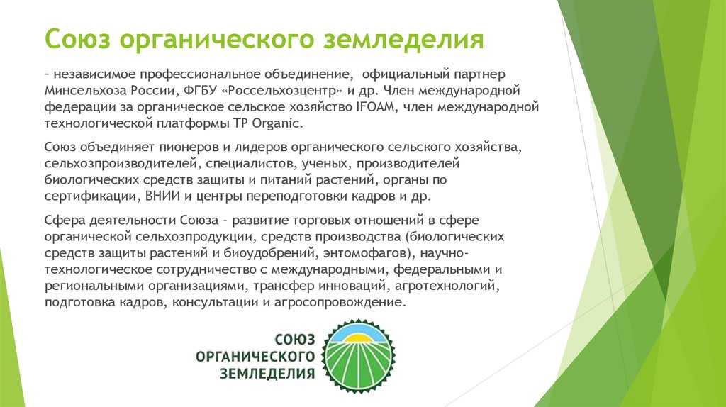15 товарных ниш 2022 года