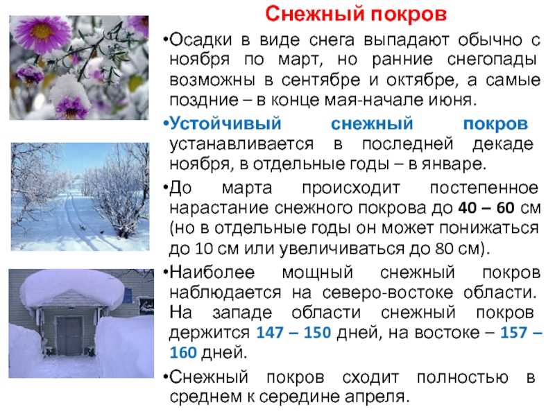 «зимние забавы»: 8 сочинений для 2 класса 2023 года