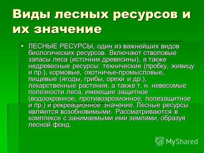 Что такое лесная промышленность: основные аспекты и ее роль в экономике