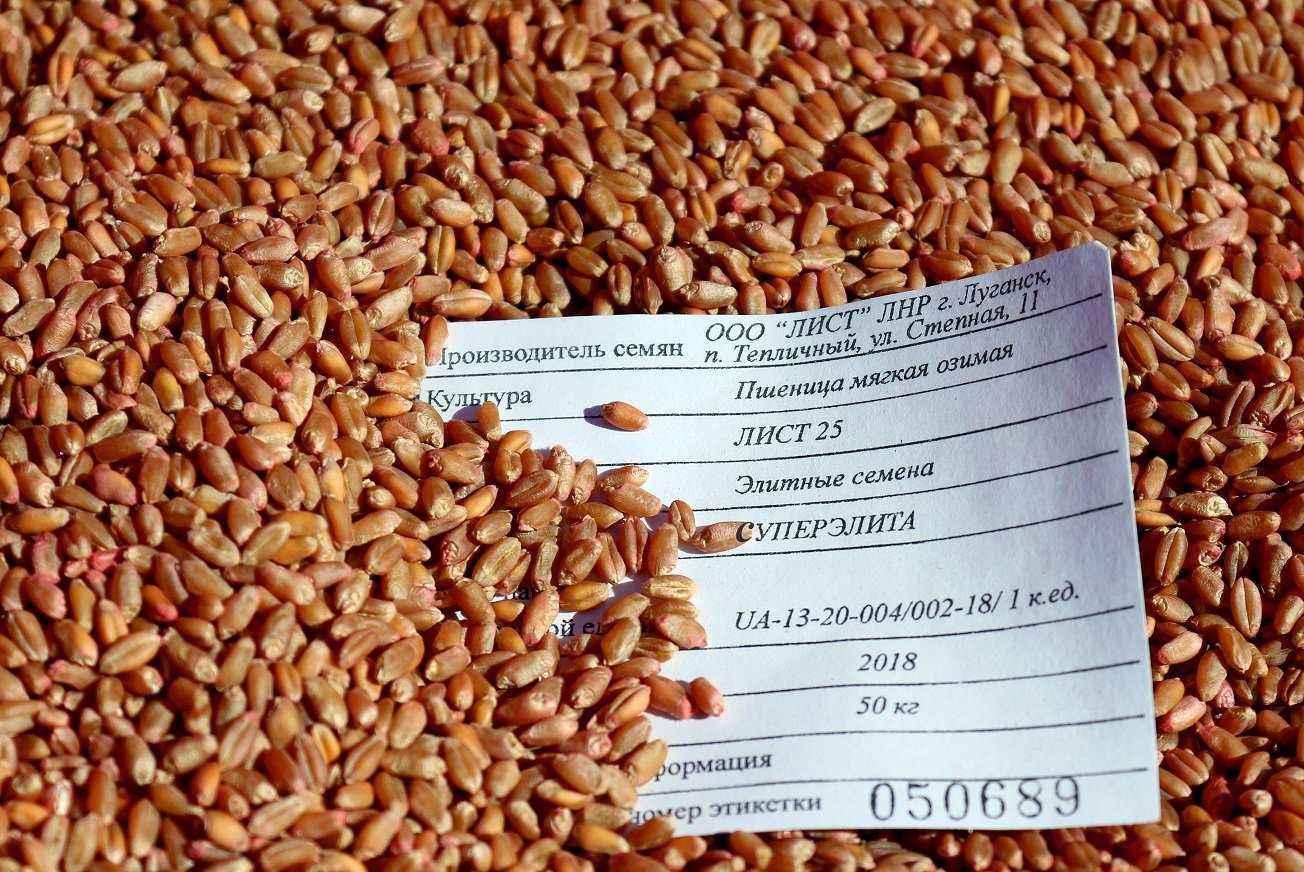 Организация и планирование семеноводства. государственный сортовой и семенной контроль. контрольная работа. сельское хозяйство. 2012-08-08