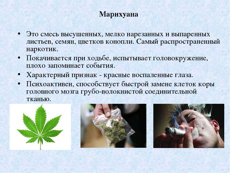 Список самых популярных наркотиков – 2018