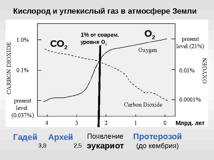 Химические свойства кислорода (23 факта, которые вы должны знать) -
