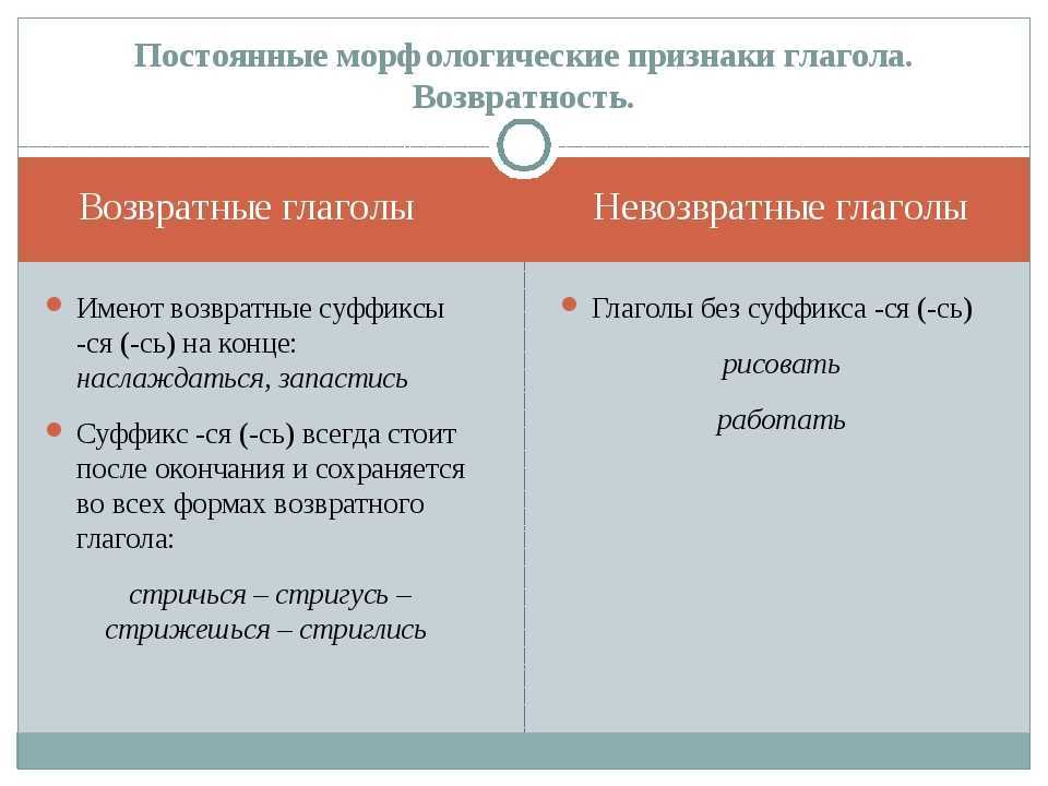 Виды омонимов – какие разглвидностиб, определение и примеры кратко (5 класс, русский язык)