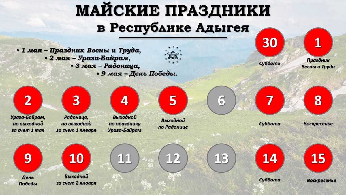 Проводов нет яблоновский телефон техподдержки горячая линия