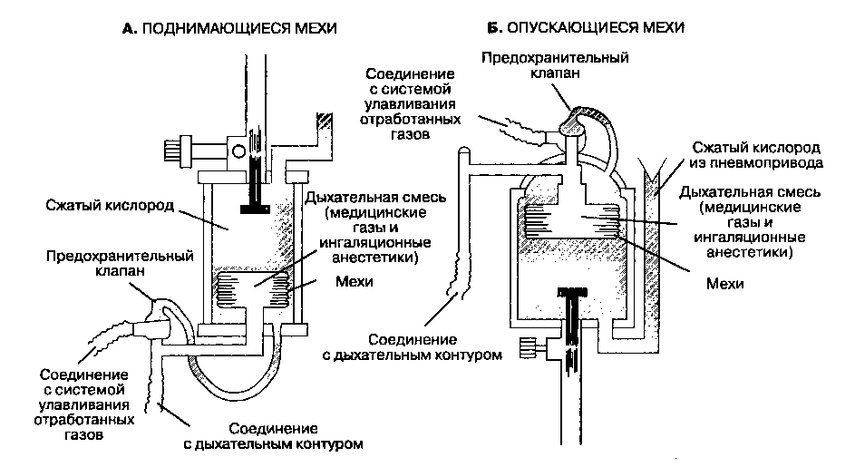 Белорусское общество анестезиологов-реаниматологов |   режимы ивл