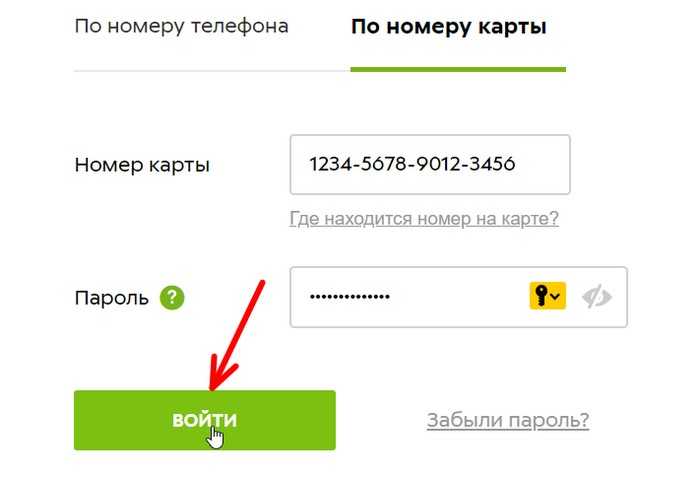 Учебный портал пятерочка «study x5 ru»: как войти, для чего нужен, как проходит обучение?
