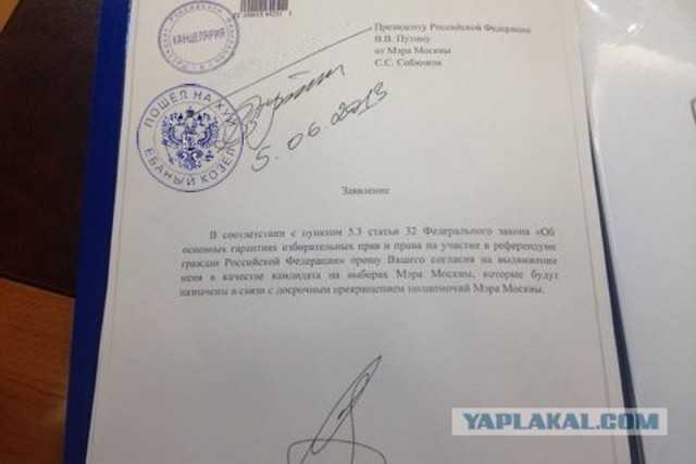 В чем разница между врио и и о, основные отличия по трудовому кодексу