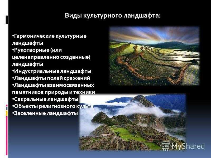 Разница между полем и лугом. чем поле отличается от луга